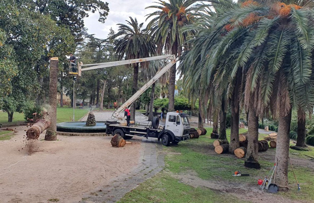 Од Боке остало само име: Херцег нови остао без својих симбола